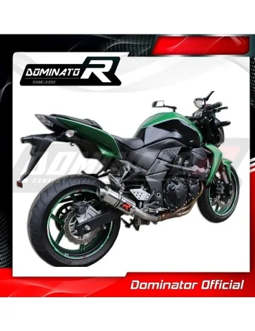 Silencieux slip-on homologué Dominator GP1 pour Kawasaki Z750 (2007-2012)