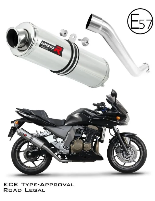 Silencieux slip-on homologué Dominator ST pour Kawasaki Z750 (2004-2006)