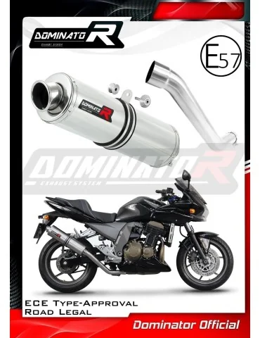 Silencieux slip-on homologué Dominator ST pour Kawasaki Z750 (2004-2006)