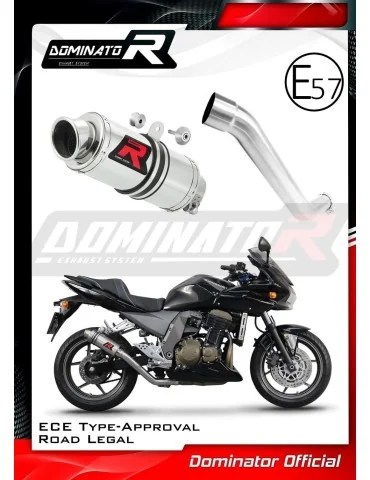 Silencieux slip-on homologué Dominator GP1 pour Kawasaki Z750 (2004-2006)