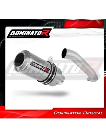 Silencieux slip-on Dominator GP pour KTM RC 390 (2022-2024)