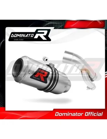 Silencieux slip-on Dominator GP pour BMW S1000R (2017-2020)