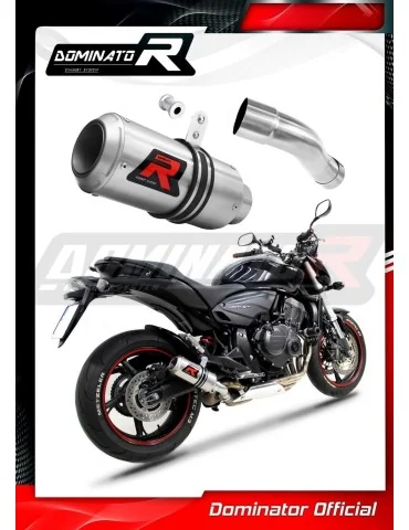 Silencieux slip-on Dominator GP pour Honda CB 600F Hornet PC41 (2007-2013)
