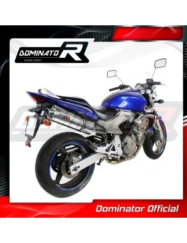 Silencieux slip-on Dominator OV pour Honda CB 600F Hornet (2003-2006)