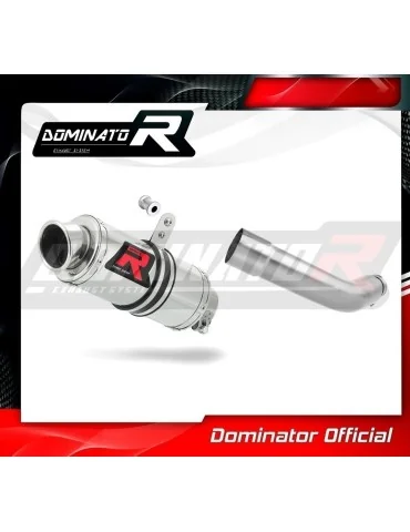 Silencieux slip-on Dominator GP1 pour Piaggio Vespa GTS 125 (2007-2012)