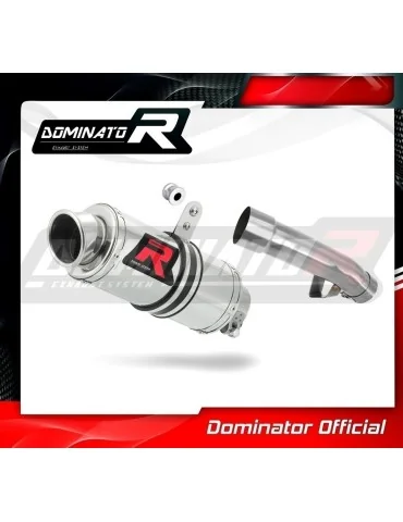 Silencieux slip-on Dominator GP1 pour Honda CBR 600 F1 (1987-1990)