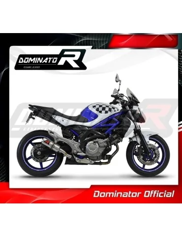 Silencieux slip-on Dominator GP pour Suzuki SFV 650 Gladius (2009-2015)