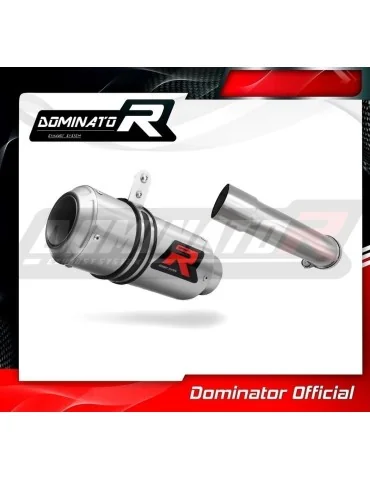 Silencieux slip-on Dominator GP pour KTM 390 Duke (2021-2023)