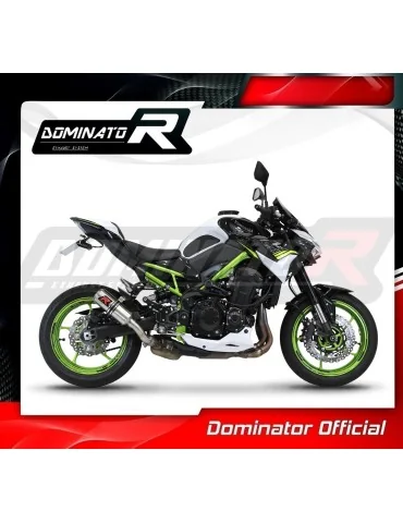 Silencieux slip-on Dominator GP pour Kawasaki Z 900 (2020-2024)
