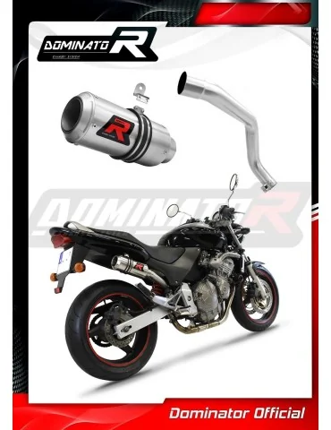 Silencieux slip-on Dominator GP pour Honda CB 600F Hornet (1998-2002)