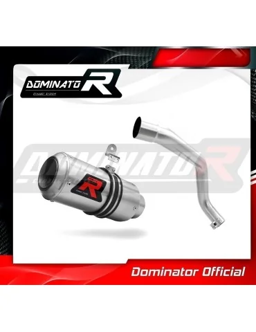 Silencieux slip-on Dominator GP pour Honda CB 600F Hornet (1998-2002)
