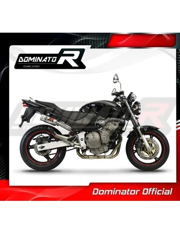 Silencieux slip-on Dominator GP pour Honda CB 600F Hornet (1998-2002)