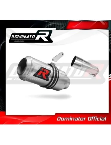 Silencieux slip-on homologué Dominator GP pour Yamaha FZ 8 N / FZ8 S Fazer (2010-2016)