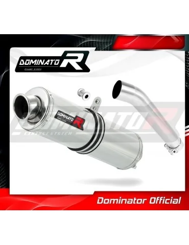 Silencieux slip-on homologué Dominator ROND pour Yamaha YZF 600R Thundercat (1996-2006)