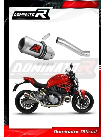 Silencieux slip-on Dominator GP pour Ducati Monster 821 (2018-2021)
