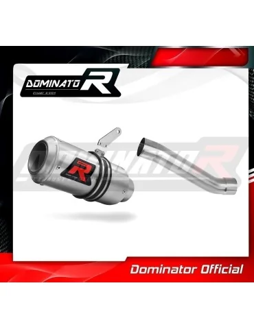 Silencieux slip-on Dominator GP pour Ducati Monster 821 (2018-2021)