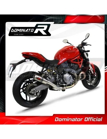 Silencieux slip-on Dominator GP pour Ducati Monster 821 (2018-2021)