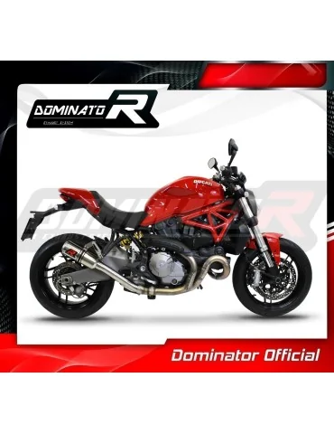 Silencieux slip-on Dominator GP pour Ducati Monster 821 (2018-2021)
