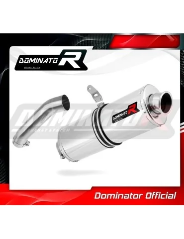 Silencieux slip-on Dominator OV pour BMW HP2 Enduro (2004-2007)