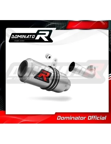 Silencieux slip-on Dominator GP pour KTM 390 Duke (2017-2020)
