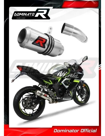 Silencieux slip-on Dominator GP pour Kawasaki Ninja 125 Z125 (2019-2023)