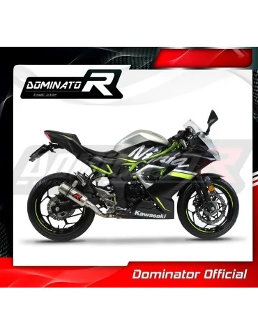 Silencieux slip-on Dominator GP pour Kawasaki Ninja 125 Z125 (2019-2023)