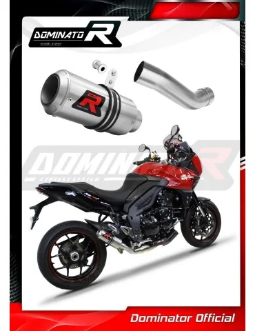 Silencieux slip-on Dominator GP pour Triumph Tiger Sport 1050 Low Level (2016-2020)