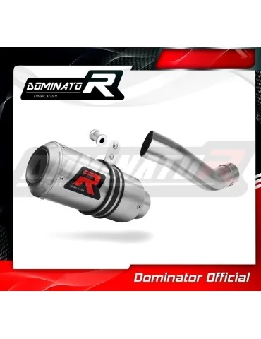 Silencieux slip-on Dominator GP pour Triumph Tiger Sport 1050 Low Level (2016-2020)