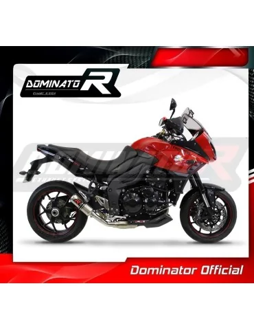 Silencieux slip-on Dominator GP pour Triumph Tiger Sport 1050 Low Level (2016-2020)
