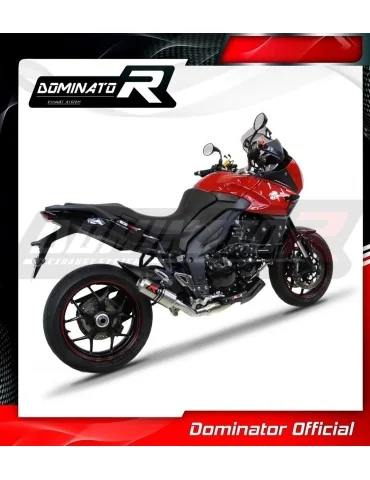 Silencieux slip-on Dominator GP pour Triumph Tiger Sport 1050 Low Level (2013-2015)