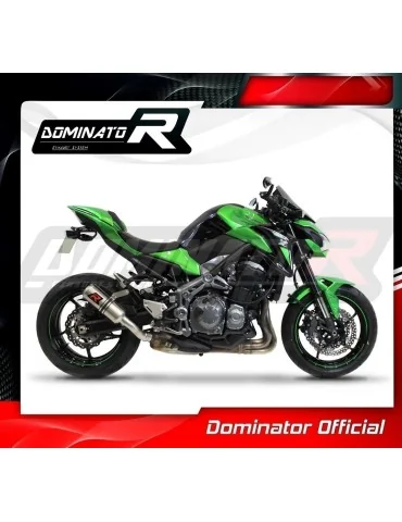 Silencieux slip-on Dominator GP pour Kawasaki Z900 (2017-2019)