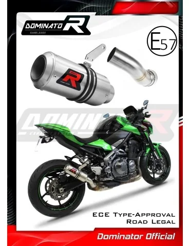 Silencieux slip-on homologué Dominator GP pour Kawasaki Z 900 (2017-2019)