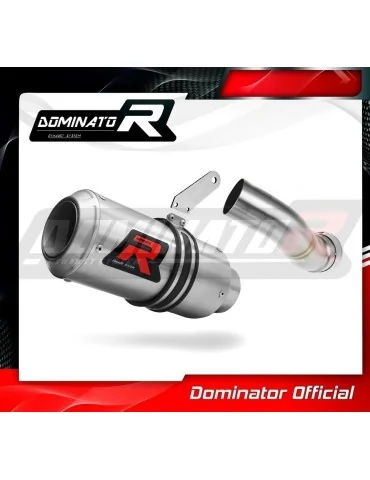 Silencieux slip-on homologué Dominator GP pour Kawasaki Z 900 (2017-2019)