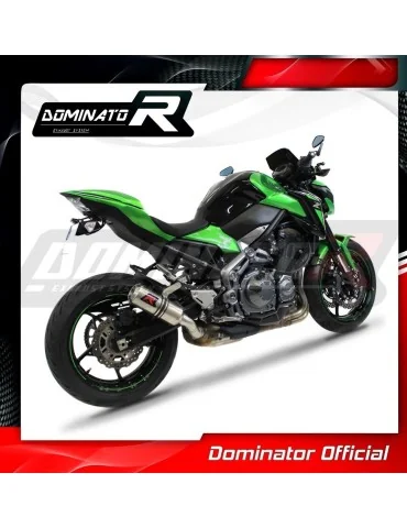 Silencieux slip-on homologué Dominator GP pour Kawasaki Z 900 (2017-2019)