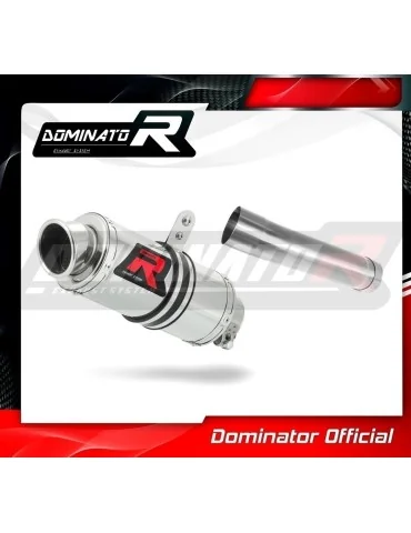 Silencieux slip-on Dominator GP1 pour Yamaha XJR 1300 (2007-2016)