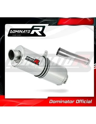 Silencieux slip-on Dominator OV pour Yamaha XJR 1300 (2007-2016)