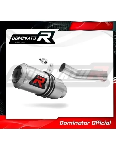 Silencieux slip-on Dominator GP pour Triumph Street Triple 675 R / S / RS (2013-2016)