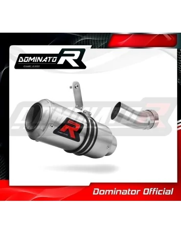 Silencieux slip-on Dominator GP pour Honda CBR 1000RR (2017-2024)