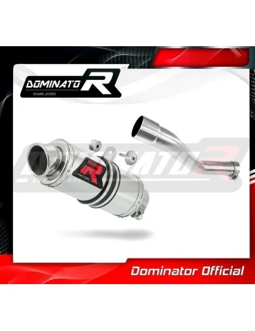 Silencieux slip-on Dominator GP1 pour Yamaha TDM 850 côté droit (1991-1995)