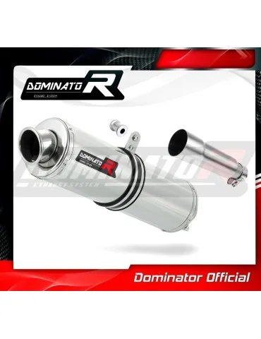 Silencieux slip-on Dominator ST pour Derbi Terra Adventure 125 (2008-2015)
