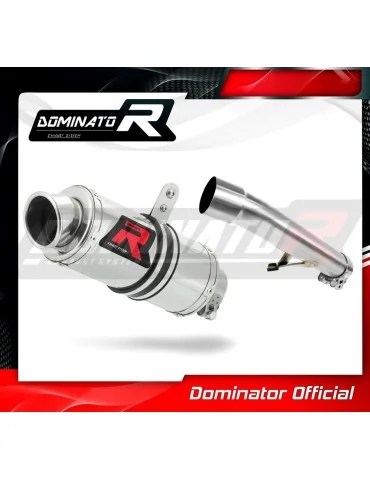 Silencieux slip-on homologué Dominator GP1 pour Honda CBF 600 (2008-2013)