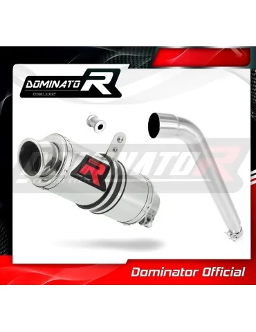 Silencieux slip-on Dominator GP1 pour Honda XL 125 V Varadero (2007-2012)