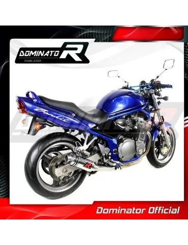 Silencieux slip-on Dominator GP1 pour Suzuki GSF 600 N / S Bandit (2000-2004)