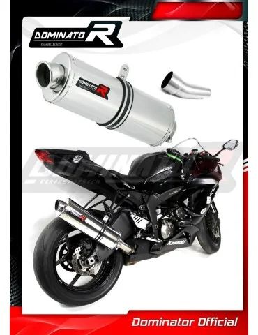 Silencieux slip-on Dominator OV pour Kawasaki ZX6R 636 (2009-2024)