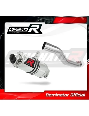 Silencieux slip-on Dominator GP1 pour Yamaha YZF R1 1000 RN09 (2002-2003)