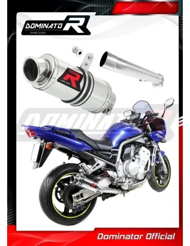 Silencieux slip-on Dominator GP1 pour Yamaha FZS Fazer 1000 (2001-2005)