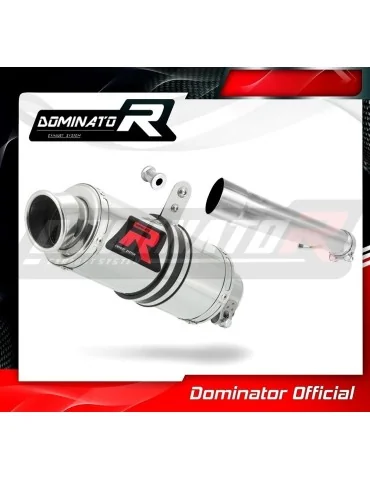 Silencieux slip-on Dominator GP1 pour Yamaha FZS Fazer 1000 (2001-2005)