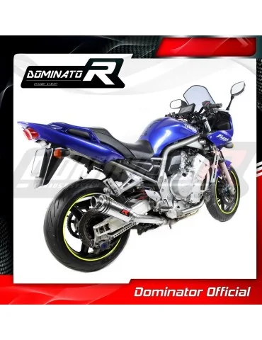 Silencieux slip-on Dominator GP1 pour Yamaha FZS Fazer 1000 (2001-2005)