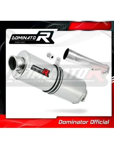Silencieux slip-on Dominator OV pour Yamaha FZS Fazer 1000 (2001-2005)