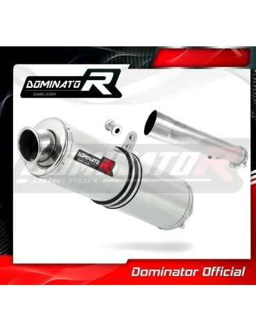 Silencieux slip-on Dominator ST pour Yamaha FZS Fazer 1000 (2001-2005)
